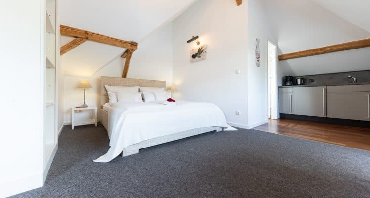 gw_210106_kraeuter_appartement (1)